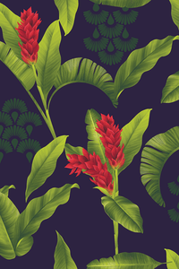 Americae American Bloom American Cordillera Trouser