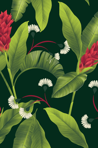 Americae American Bloom Alpinia Purpurata Trouser